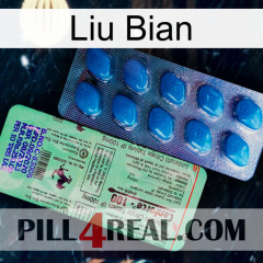 Liu Bian new02